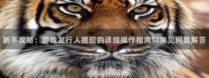 db电竞电子商务：新手攻略：游戏发行人提现的详细操作指南和常见问题解答