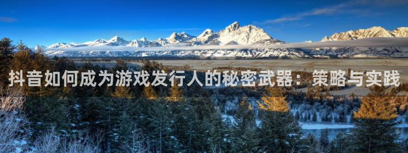 广东db电竞电子科技有限公司 联系电话：抖音如何成为游戏发行人的秘密武器：策略与实践