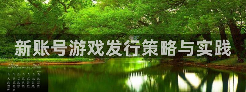 db电竞电子商务有限公司：新账号游戏发行策略与实践