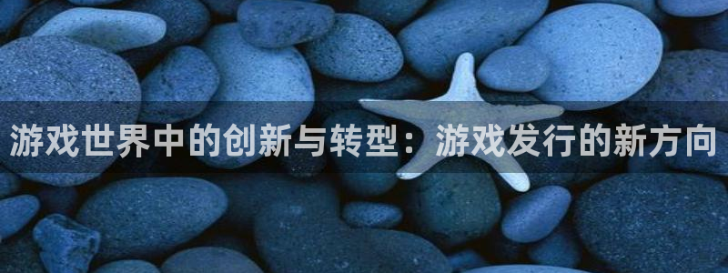 db电竞官网注册方法有哪些软件：游戏世界中的创新与转型：游戏发行的新方向
