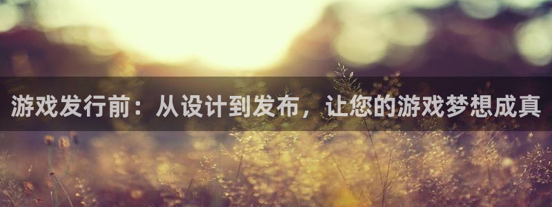 db电竞官网客服电话：游戏发行前：从设计到发布，让您的游戏梦想成真
