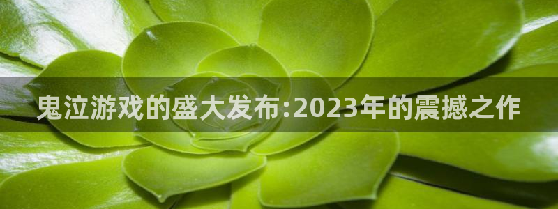db电竞品牌服装：鬼泣游戏的盛大发布:2023年的震撼之作