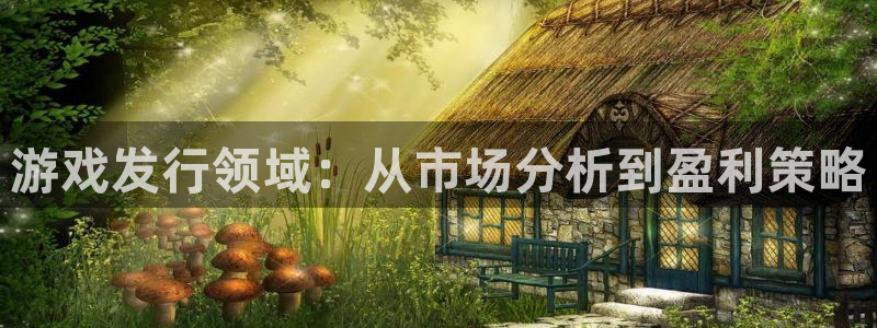 db电竞官网平台代理开号怎么开：游戏发行领域：从市场分析到盈利策略