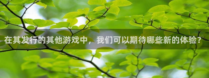 db电竞官网挂机项目怎么样可靠吗：在其发行的其他游戏中，我们可以期待哪些新的体验？