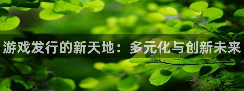 db电竞智得官网