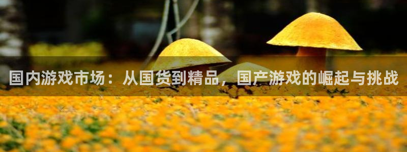 db电竞电子科技：国内游戏市场：从国货到精品，国产游戏的崛起与挑战