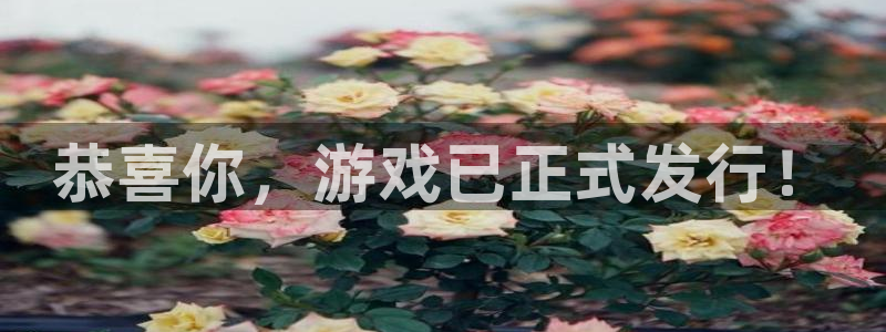 db电竞官网注册平台官网登录：恭喜你，游戏已正式发行！
