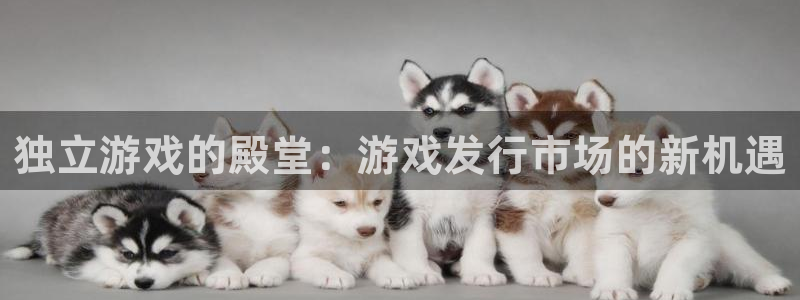 db电竞官网分分彩：独立游戏的殿堂：游戏发行市场的新机遇