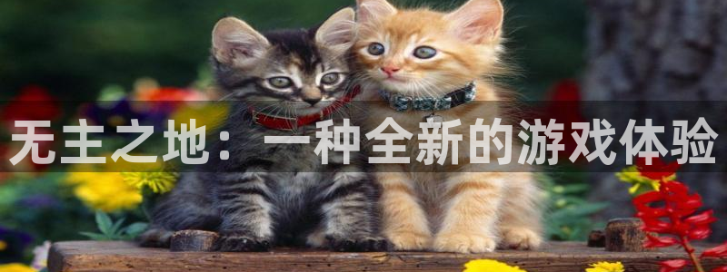 db电竞官网注册地址在哪里啊：无主之地：一种全新的游戏体验