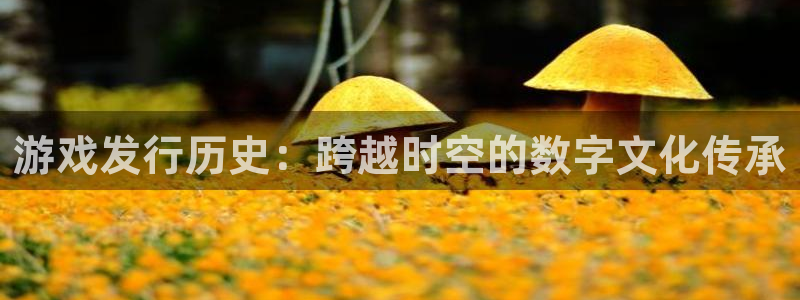 db电竞官网注册平台登录入口：游戏发行历史：跨越时空的数字文化传承