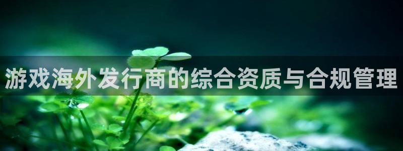 法国db电竞官网：游戏海外发行商的综合资质与合规管理
