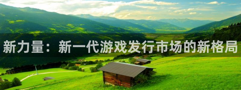 db电竞官网注册方法有哪些软件：新力量：新一代游戏发行市场的新格局