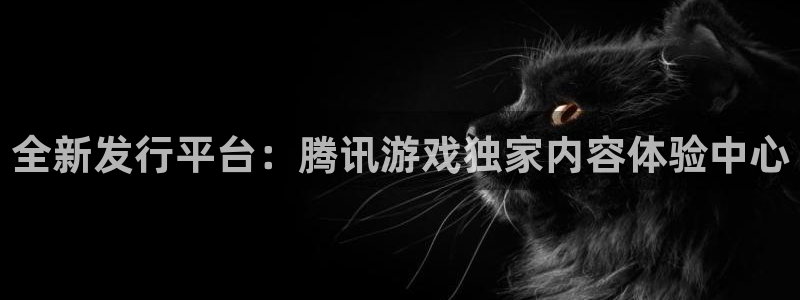 广州db电竞运动服