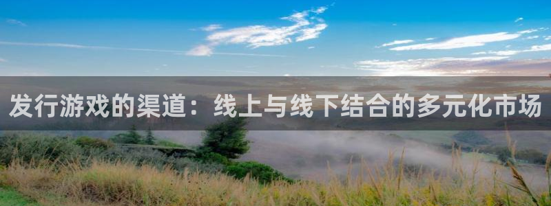 db电竞官网跑路了吗：发行游戏的渠道：线上与线下结合的多元化市场