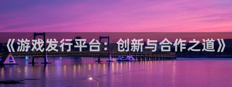 db电竞技术有限公司招聘：《游戏发行平台：创新与合作之道》