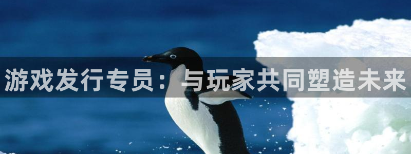 db电竞集团：游戏发行专员：与玩家共同塑造未来