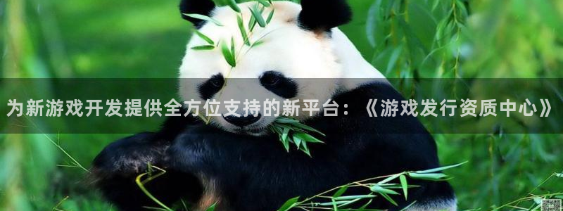 db电竞官网代理注册：为新游戏开发提供全方位支持的新平台：《游戏发行资质中心》