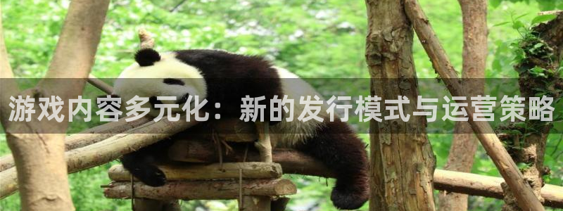 db电竞子怎么样