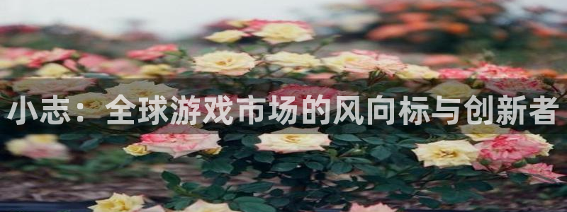 db电竞官网代理注册地址：小志：全球游戏市场的风向标与创新者