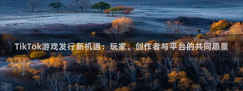 陕西db电竞子文化创意有限公司是做什么的