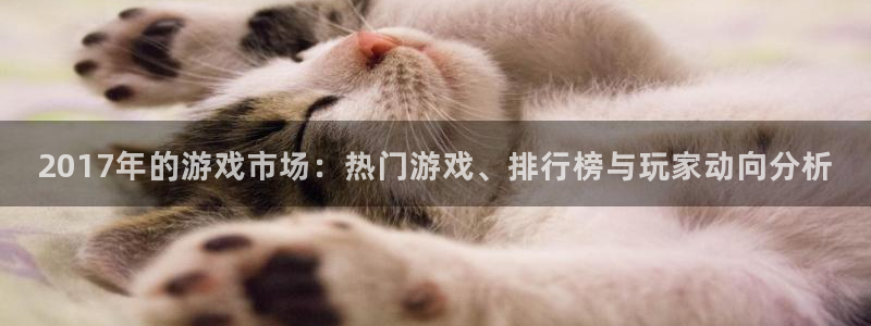 db电竞子教育科技有限公司