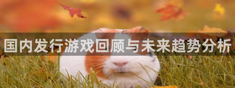 db电竞服装品牌