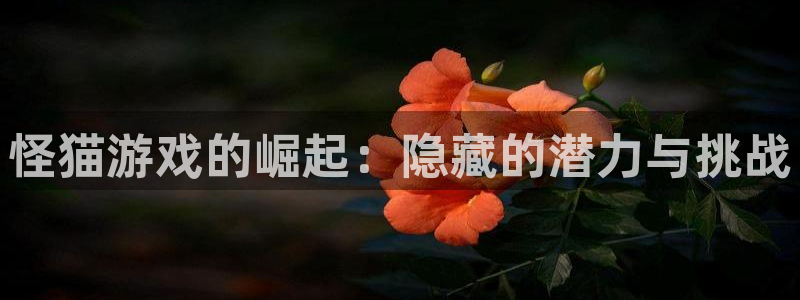 佛山db电竞电子商务